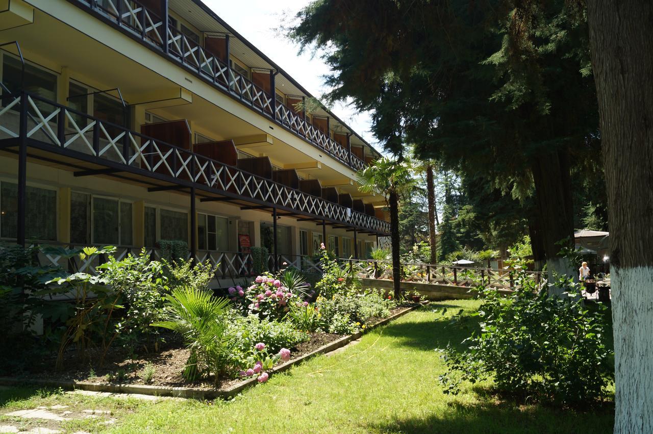 Pitsunda Hotel Pizunda Exterior photo